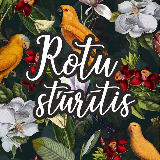 JAUNUMS! Rotu stūrītis